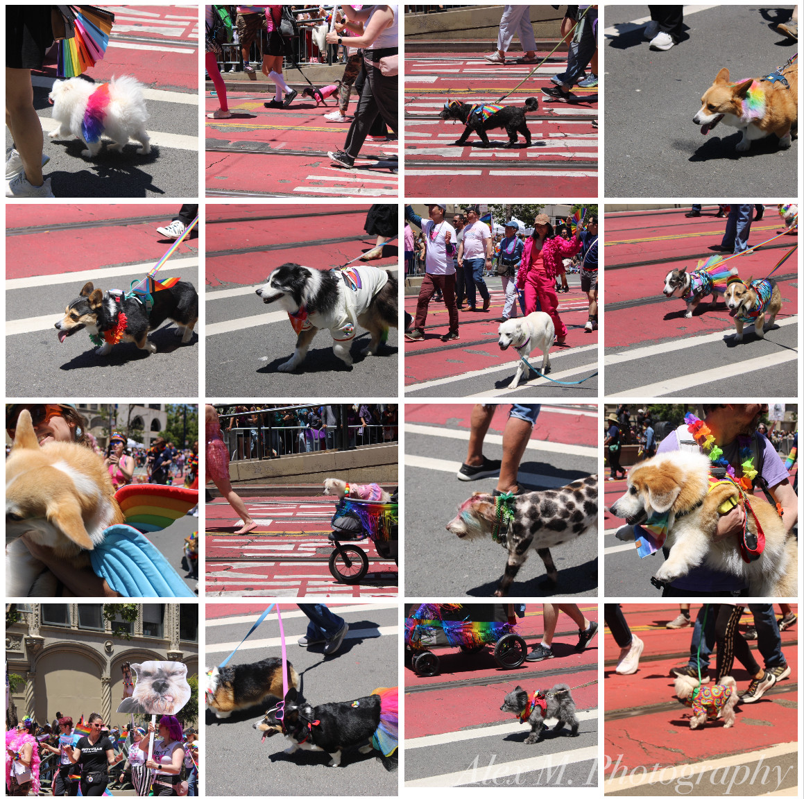 SF Pride - 2025
